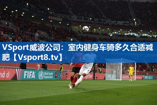 <strong>VSport威波公司：室内健身车骑多久合适减肥</strong>