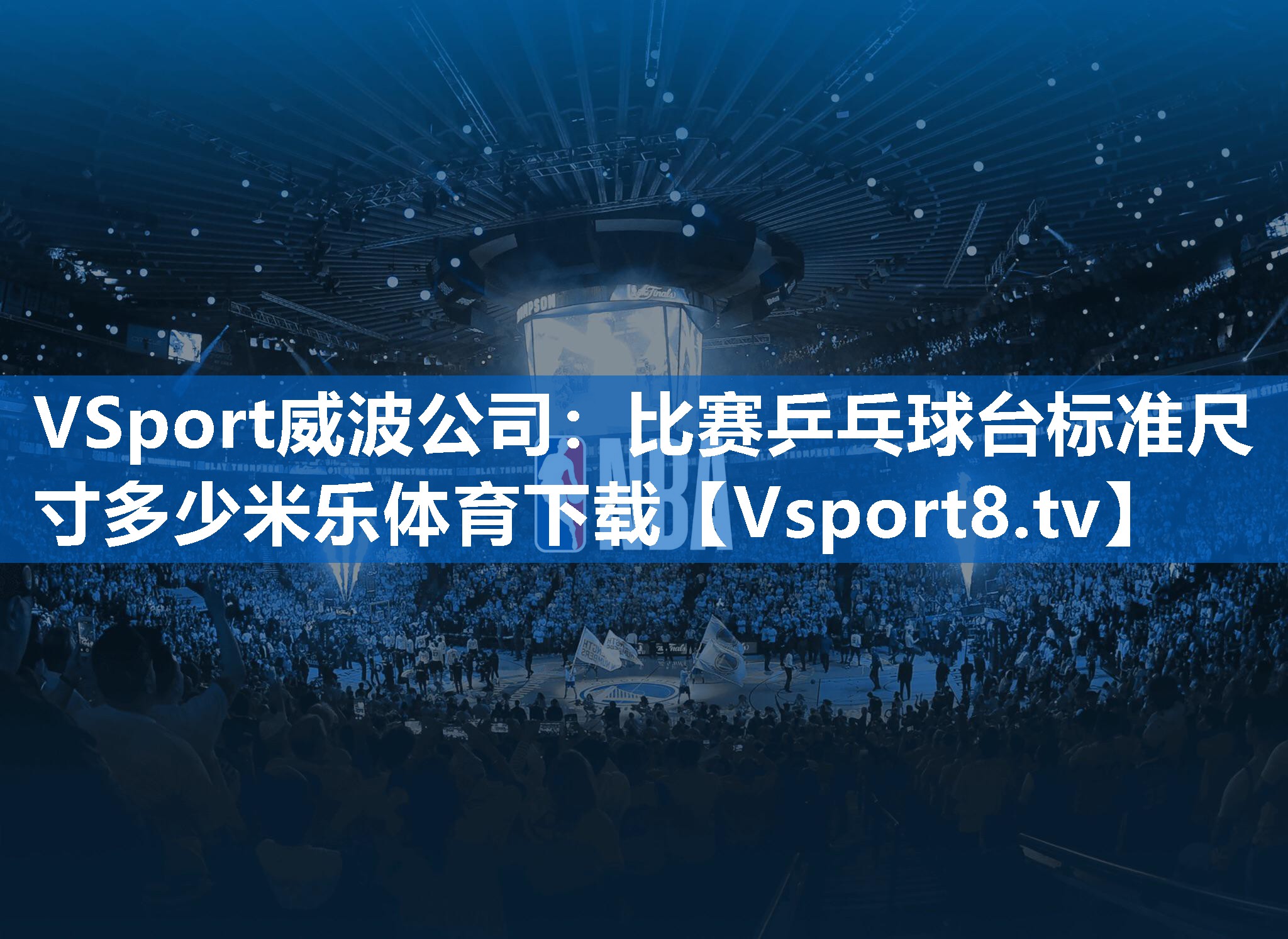 <strong>VSport威波公司：比赛乒乓球台标准尺寸多少米乐体育下载</strong>
