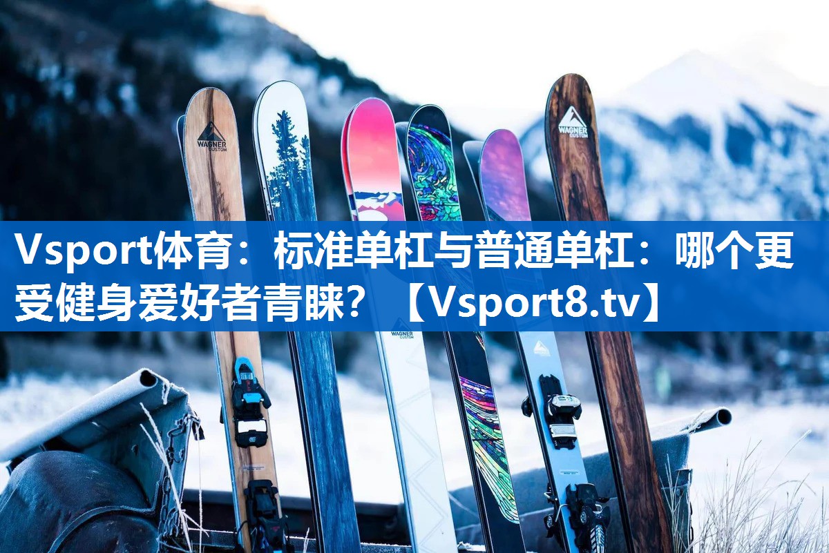 Vsport体育：标准单杠与普通单杠：哪个更受健身爱好者青睐？