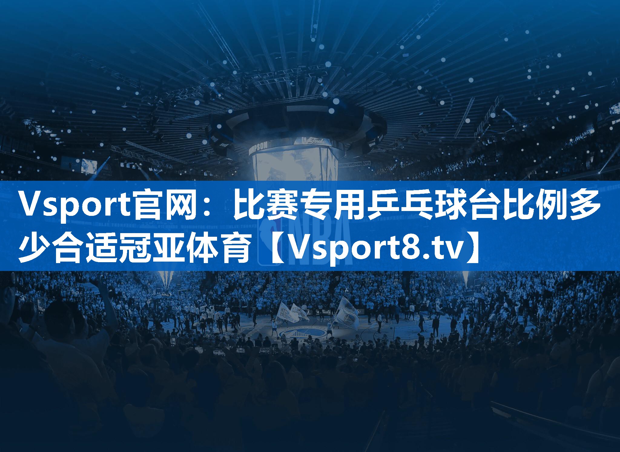 Vsport官网：比赛专用乒乓球台比例多少合适冠亚体育