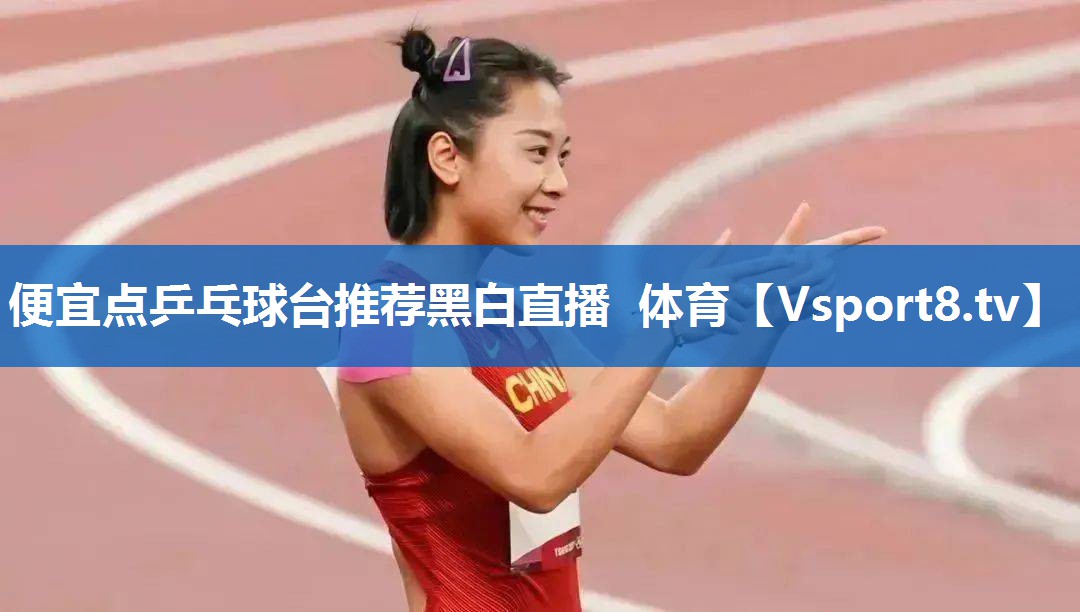 便宜点乒乓球台推荐黑白直播 体育
