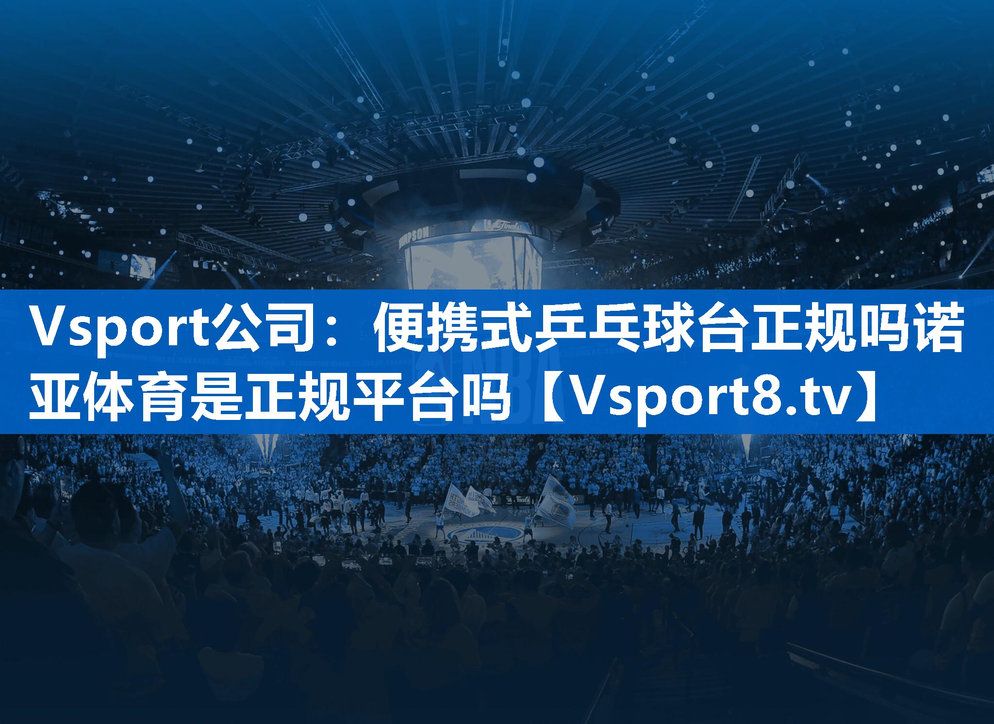 Vsport公司：便携式乒乓球台正规吗诺亚体育是正规平台吗