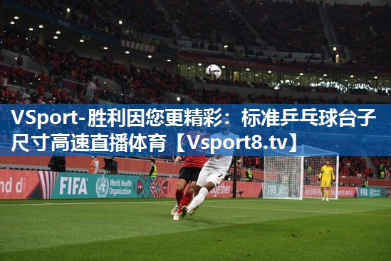 <strong>VSport-胜利因您更精彩：标准乒乓球台子尺寸高速直播体育</strong>