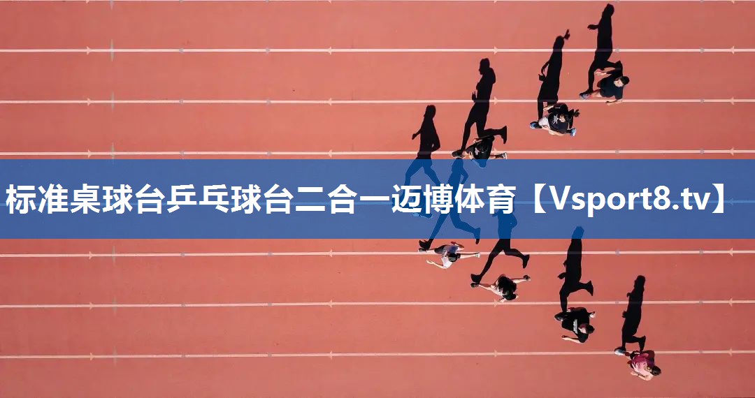 <strong>标准桌球台乒乓球台二合一迈博体育</strong>