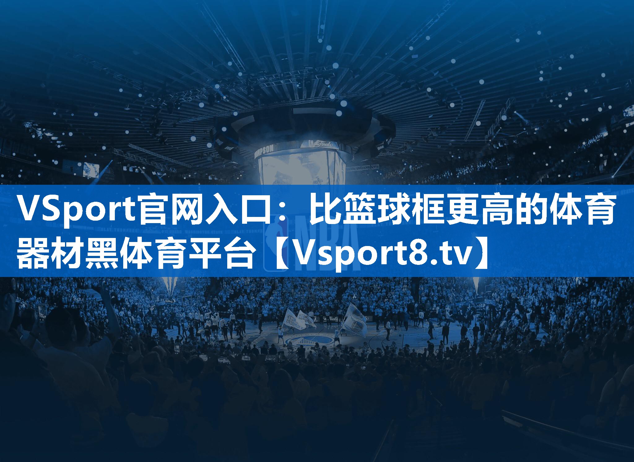<strong>VSport官网入口：比篮球框更高的体育器材黑体育平台</strong>