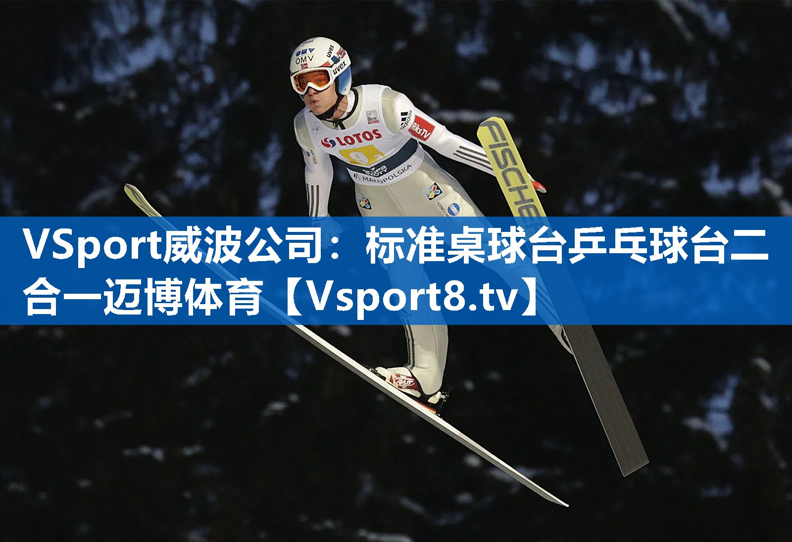 VSport威波公司：标准桌球台乒乓球台二合一迈博体育