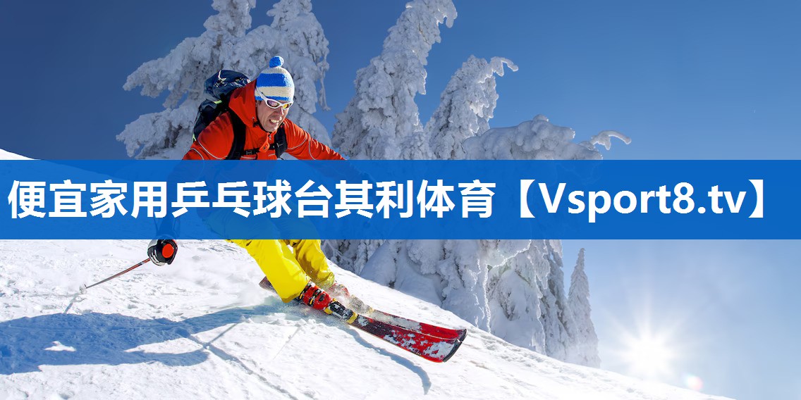 便宜家用乒乓球台其利体育