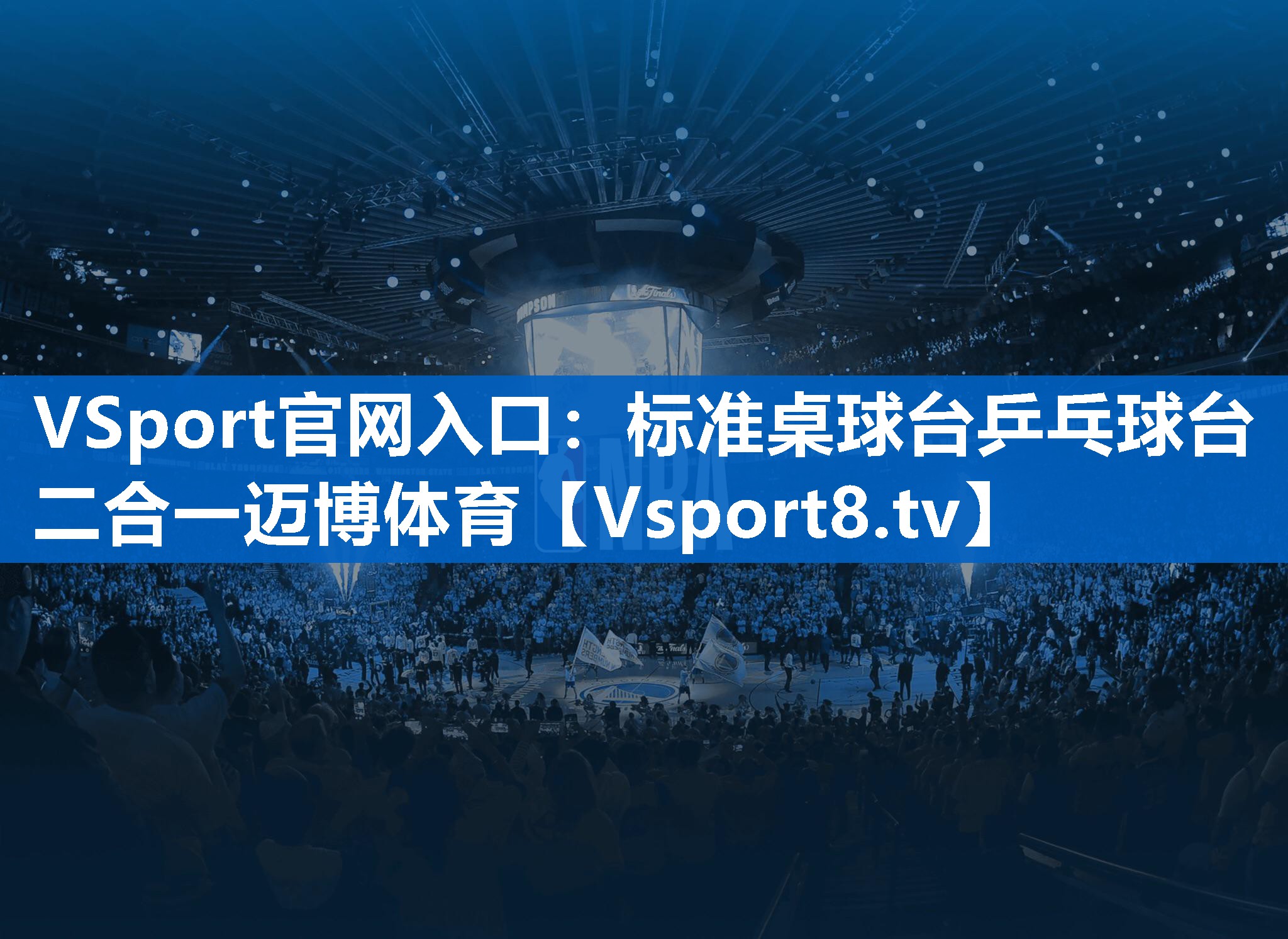 VSport官网入口：标准桌球台乒乓球台二合一迈博体育
