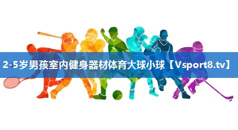 2-5岁男孩室内健身器材体育大球小球