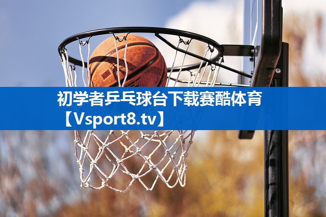 初学者乒乓球台下载赛酷体育