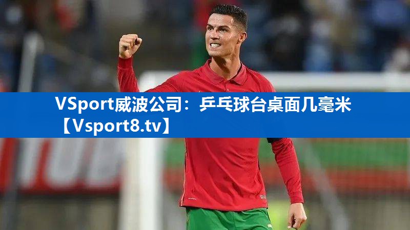 乒乓球台桌面几毫米