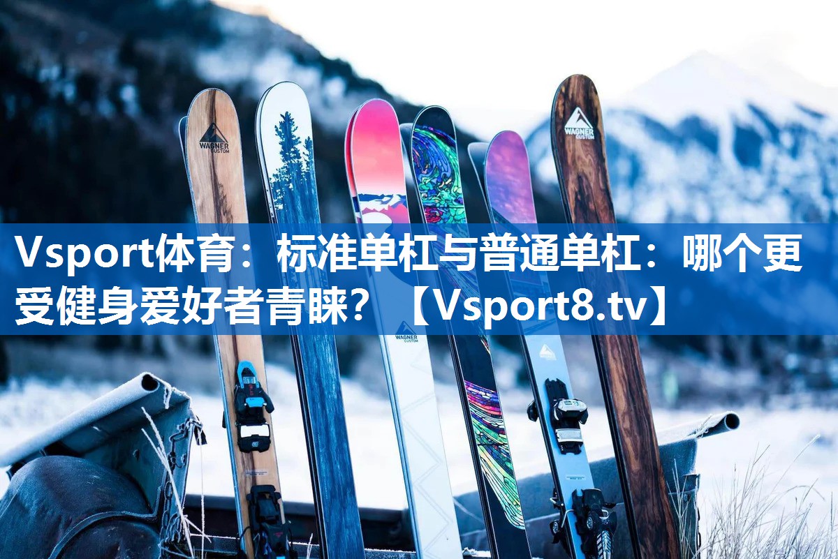 标准单杠与普通单杠：哪个更受健身爱好者青睐？