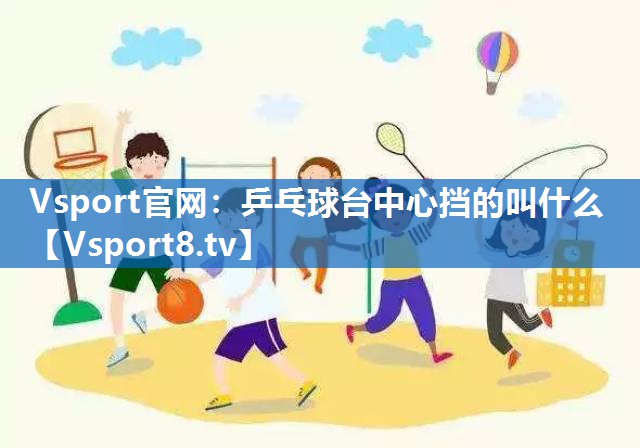 乒乓球台中心挡的叫什么