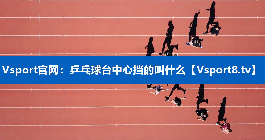 乒乓球台中心挡的叫什么