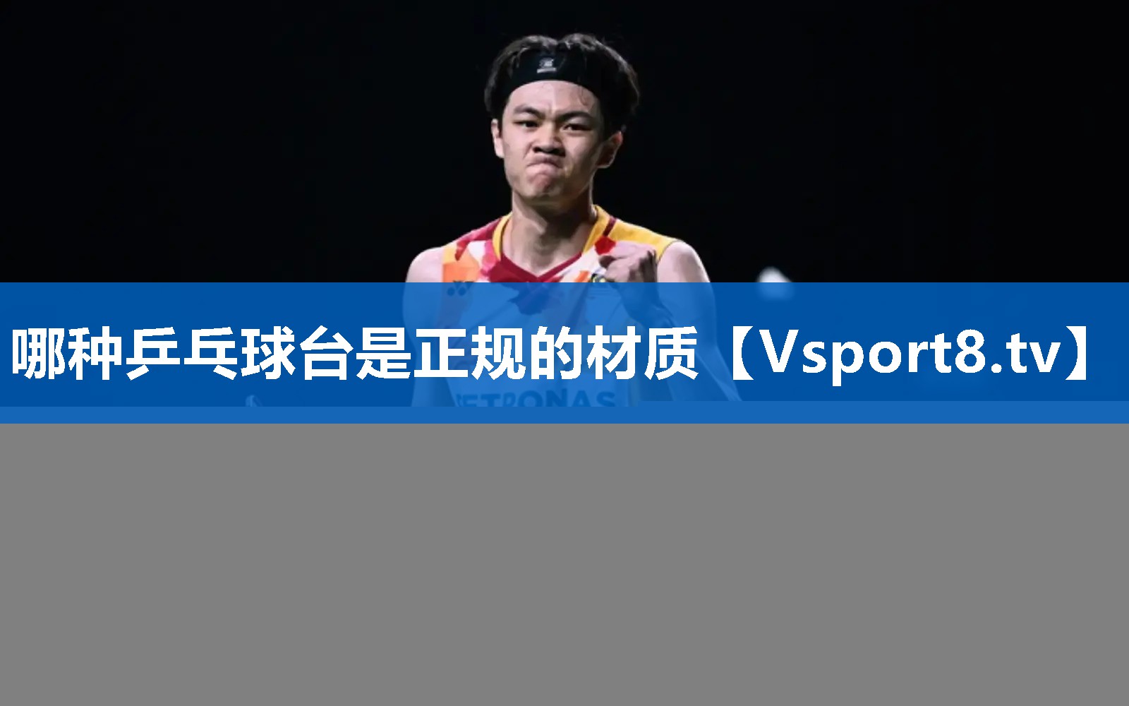 哪种乒乓球台是正规的材质