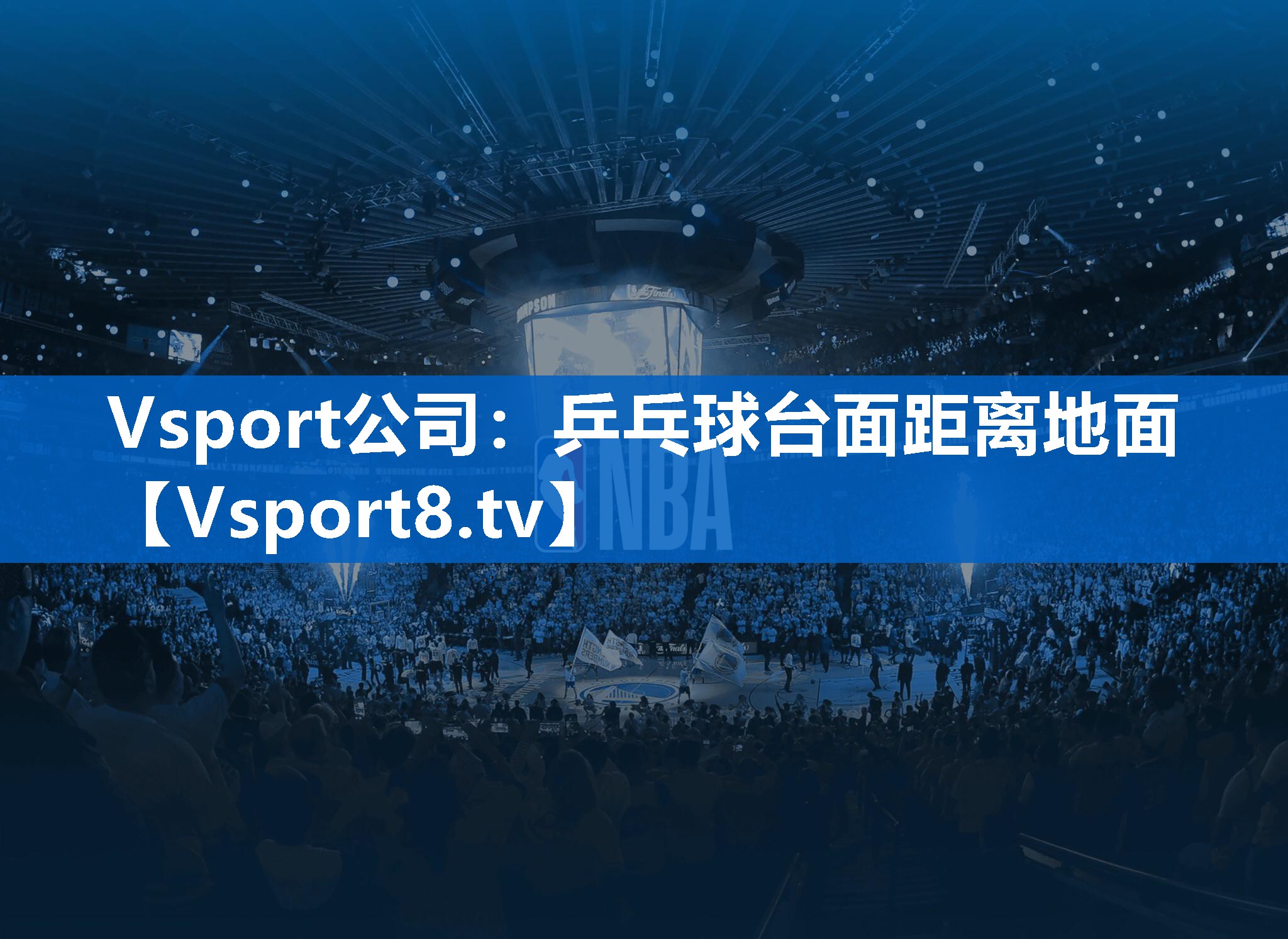 Vsport公司：乒乓球台面距离地面