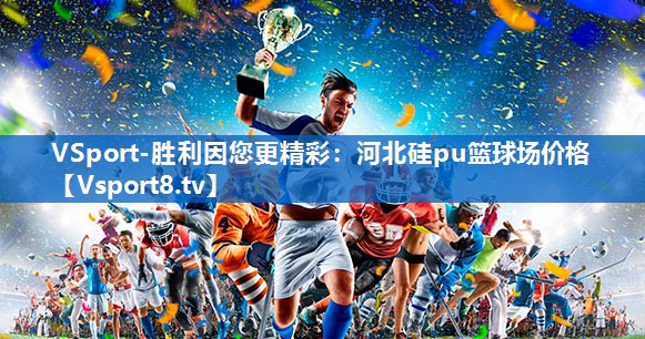 <strong>VSport-胜利因您更精彩：河北硅pu篮球场价格</strong>