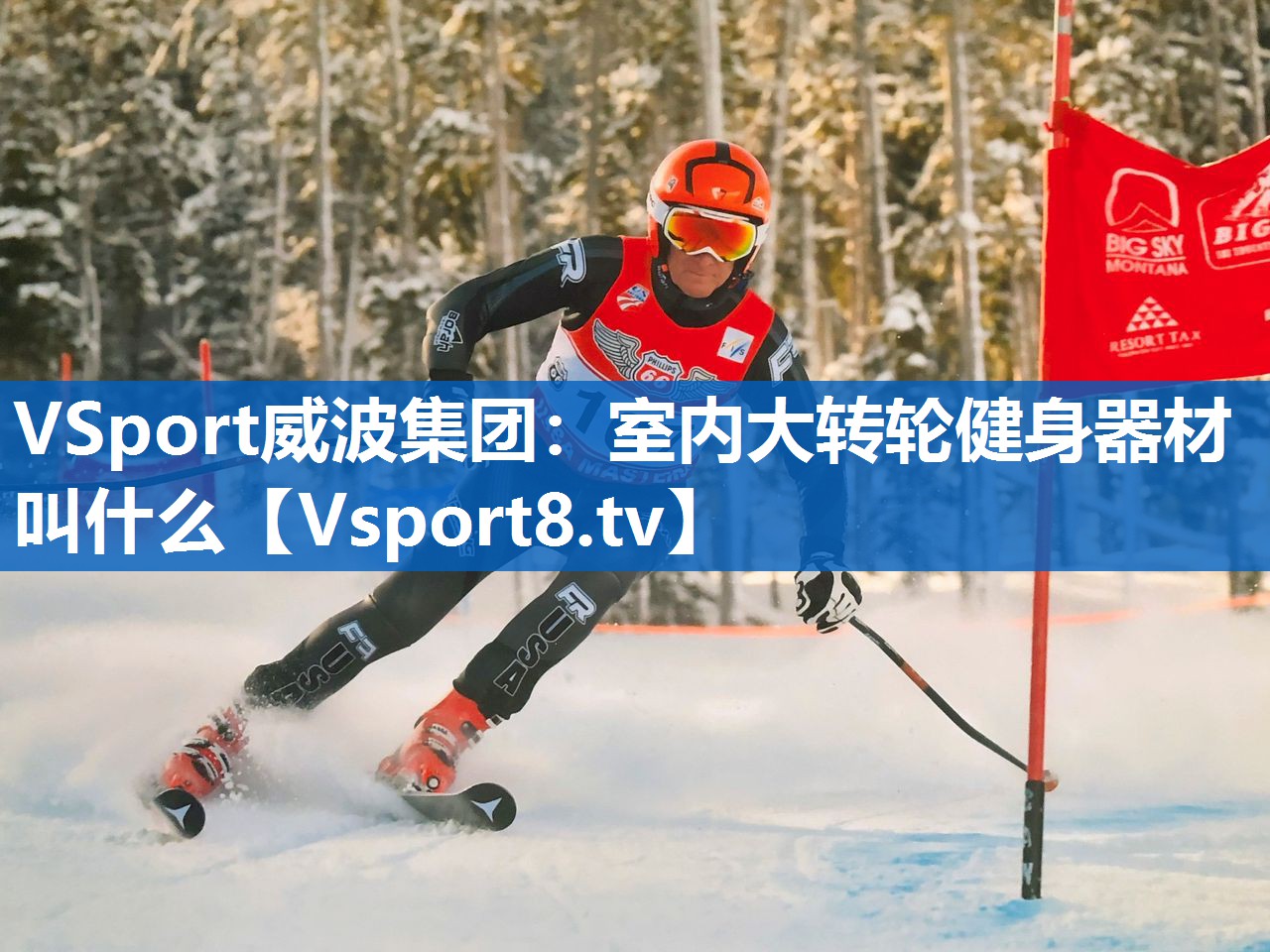 VSport威波集团：室内大转轮健身器材叫什么