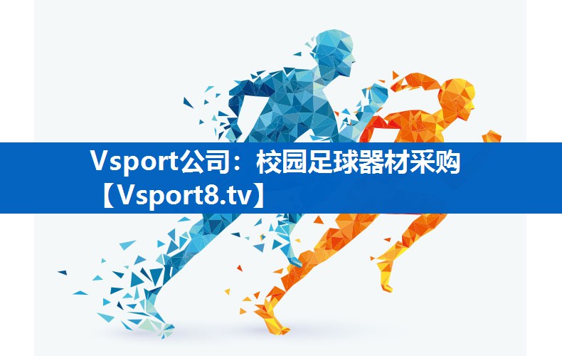 <strong>Vsport公司：校园足球器材采购</strong>