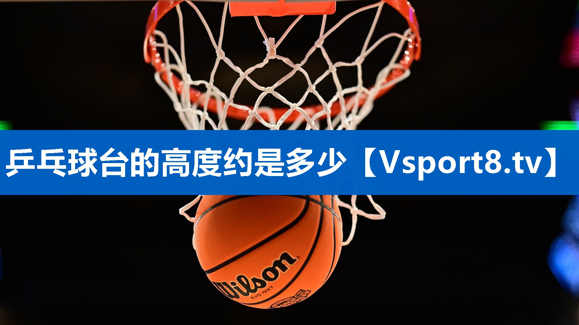 乒乓球台的高度约是多少