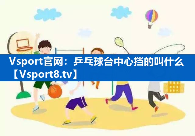 <strong>Vsport官网：乒乓球台中心挡的叫什么</strong>