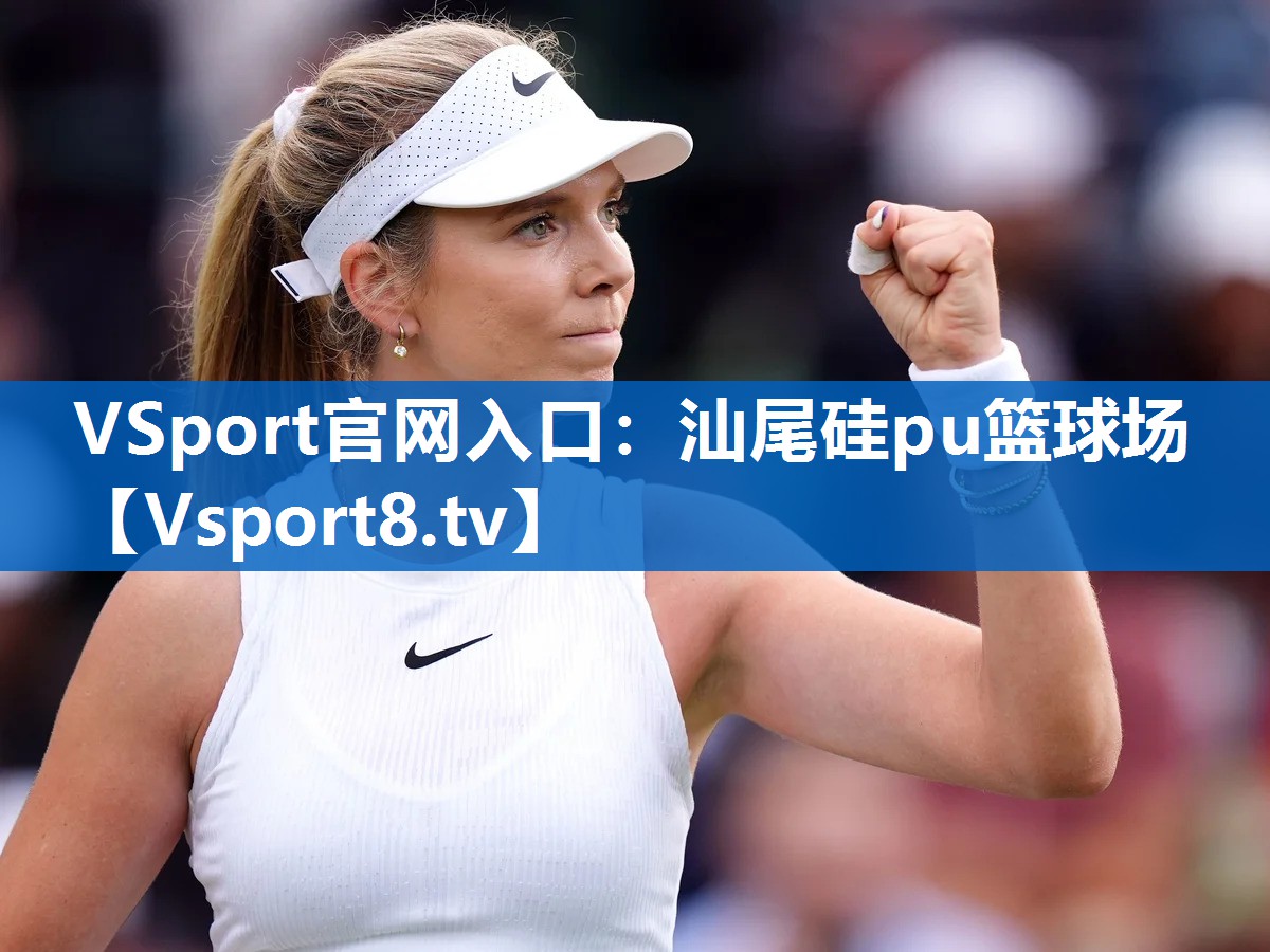 <strong>VSport官网入口：汕尾硅pu篮球场</strong>