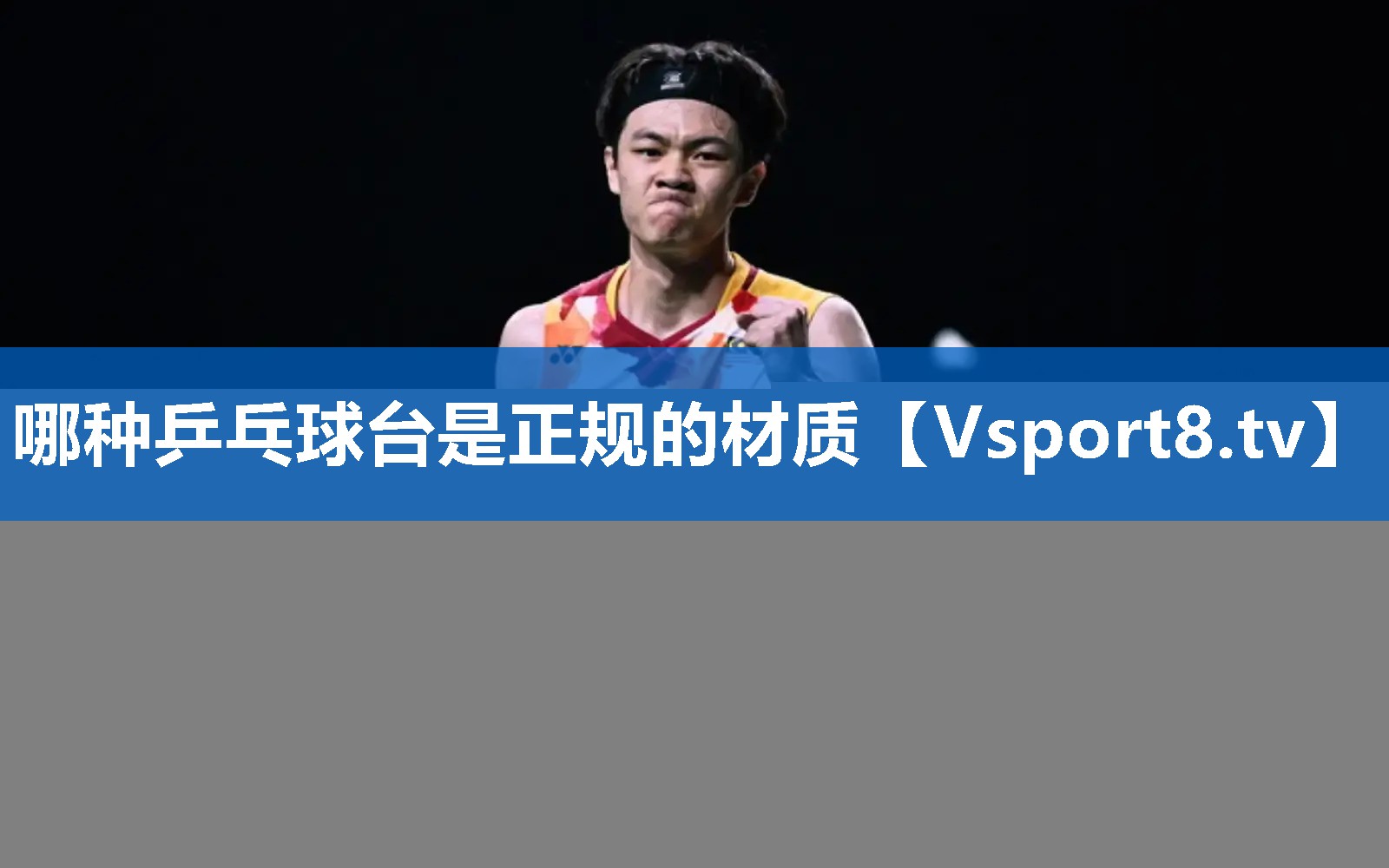 哪种乒乓球台是正规的材质