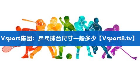 <strong>Vsport集团：乒乓球台尺寸一般多少</strong>