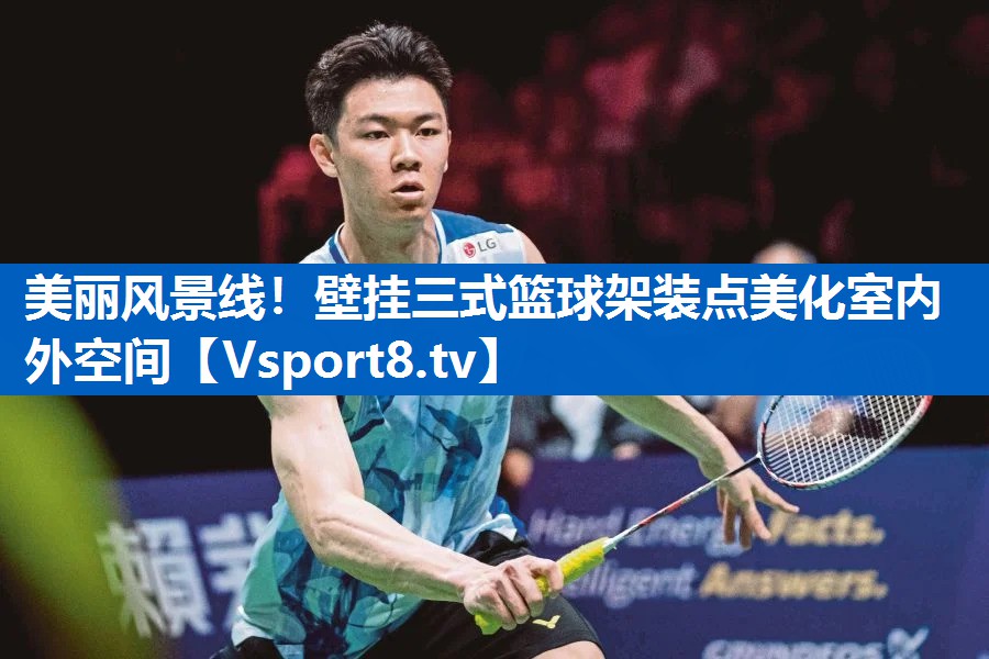 <strong>美丽风景线！壁挂三式篮球架装点美化室内外空间</strong>