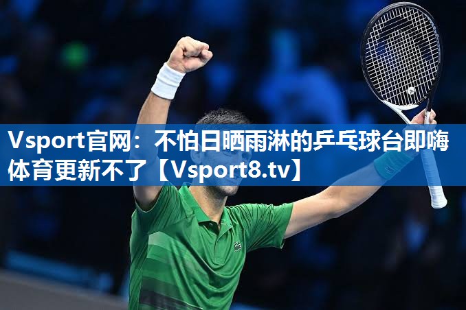<strong>Vsport官网：不怕日晒雨淋的乒乓球台即嗨体育更新不了</strong>