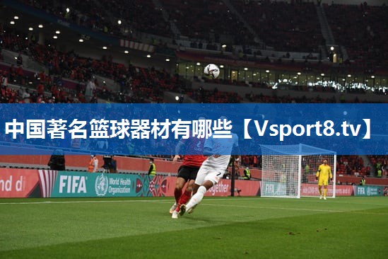 中国著名篮球器材有哪些
