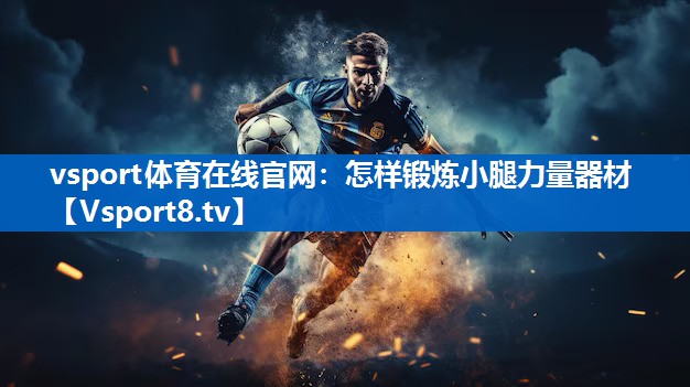 vsport体育在线官网：怎样锻炼小腿力量器材