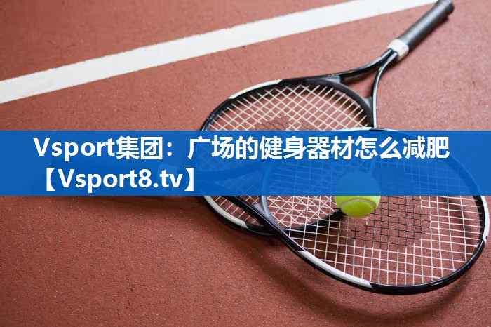 Vsport集团：广场的健身器材怎么减肥