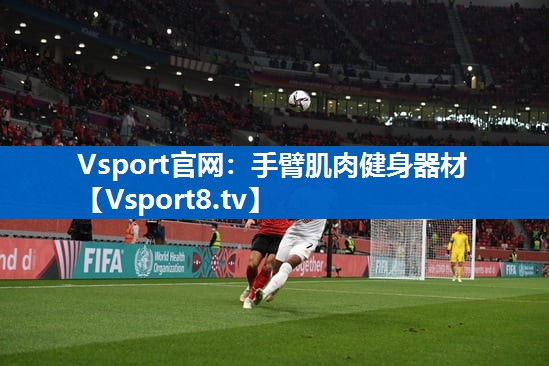 Vsport官网：手臂肌肉健身器材