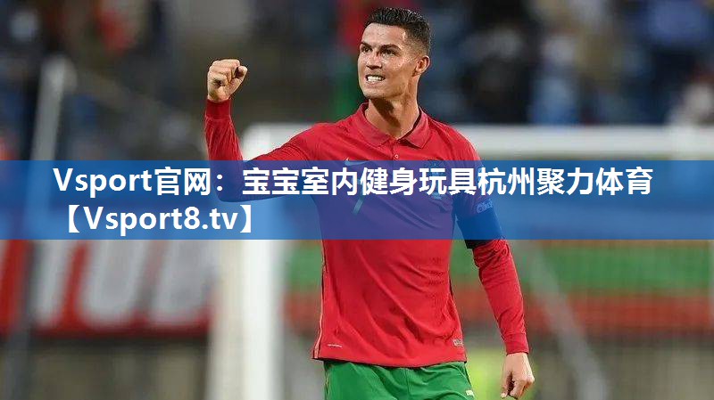 <strong>Vsport官网：宝宝室内健身玩具杭州聚力体育</strong>