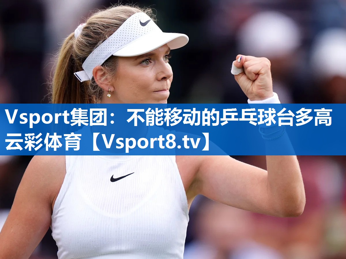 Vsport集团：不能移动的乒乓球台多高云彩体育