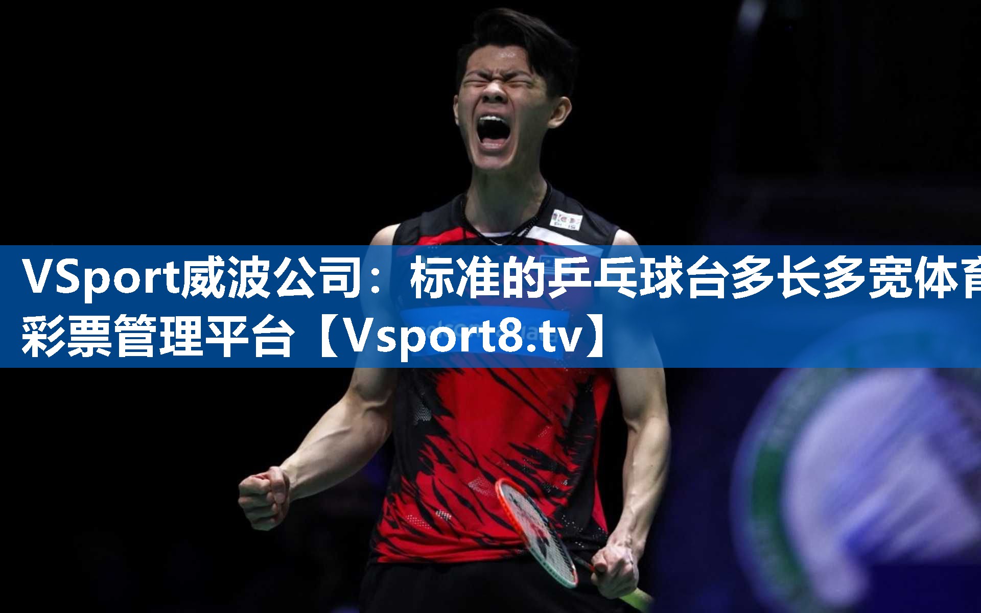 <strong>VSport威波公司：标准的乒乓球台多长多宽体育彩票管理平台</strong>