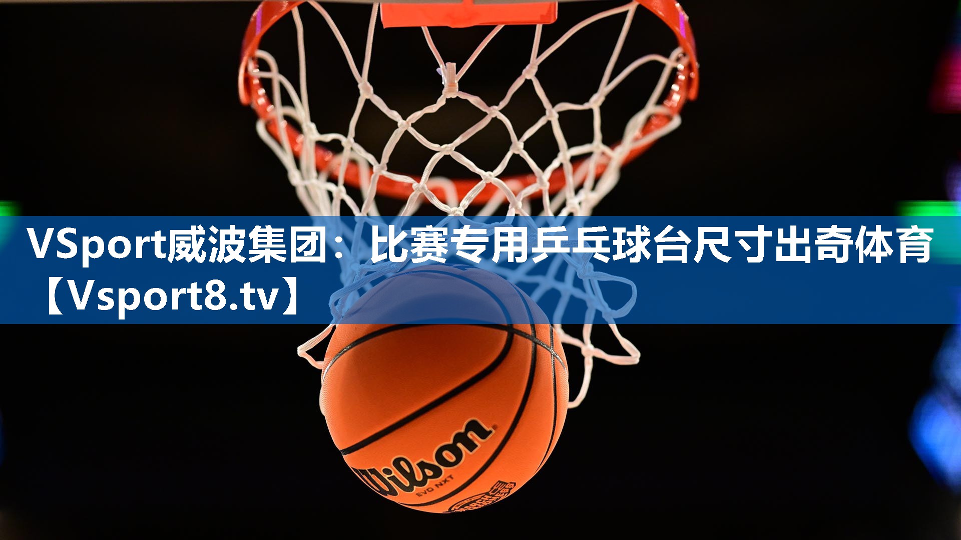 VSport威波集团：比赛专用乒乓球台尺寸出奇体育
