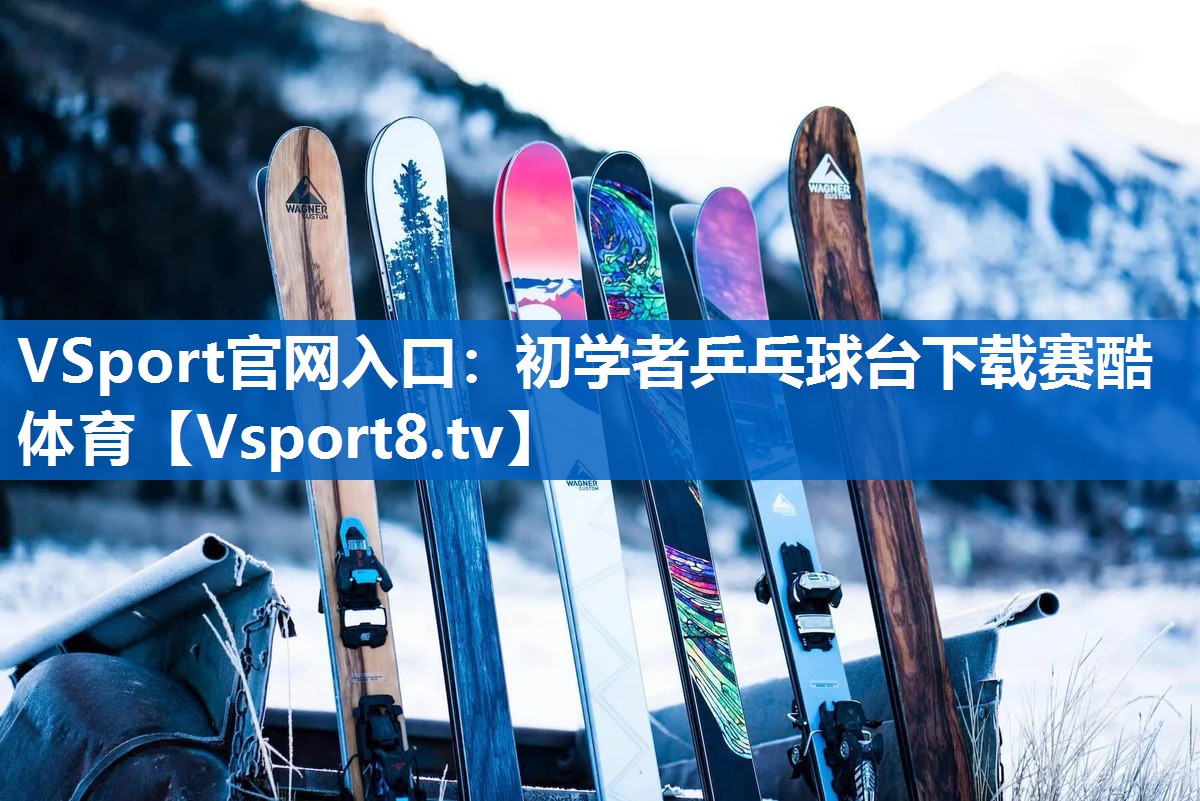 VSport官网入口：初学者乒乓球台下载赛酷体育