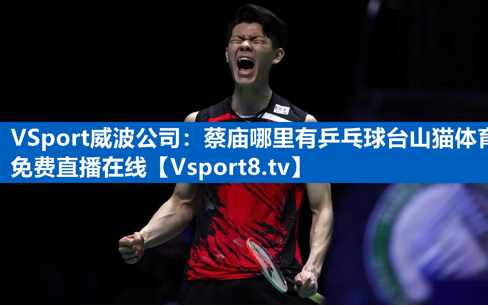VSport威波公司：蔡庙哪里有乒乓球台山猫体育免费直播在线