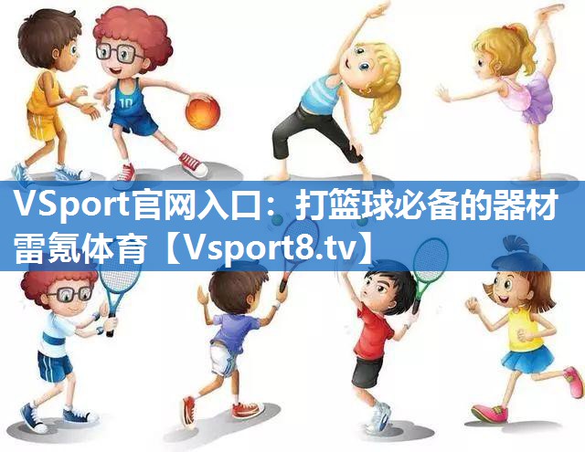 <strong>VSport官网入口：打篮球必备的器材雷氪体育</strong>