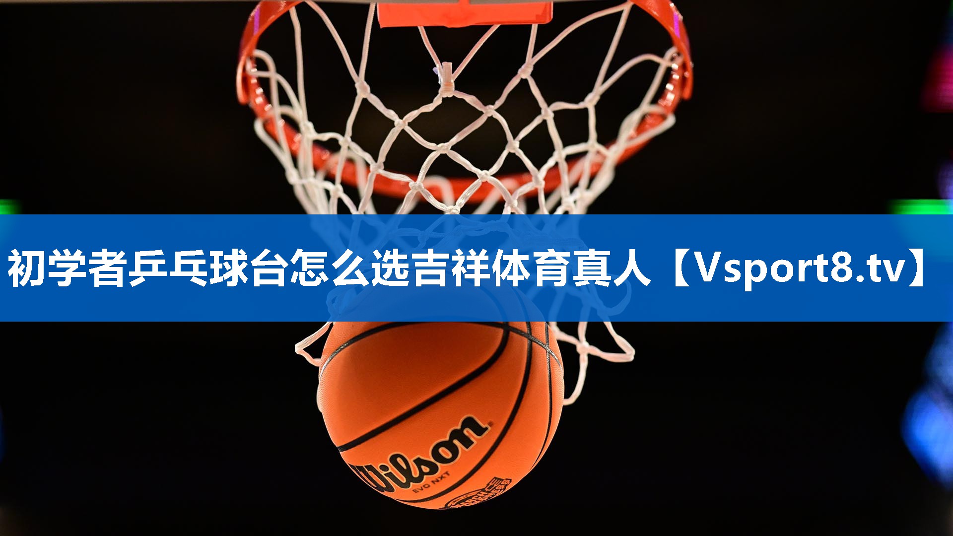 初学者乒乓球台怎么选吉祥体育真人