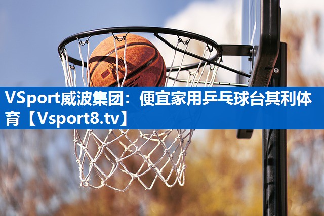 <strong>VSport威波集团：便宜家用乒乓球台其利体育</strong>