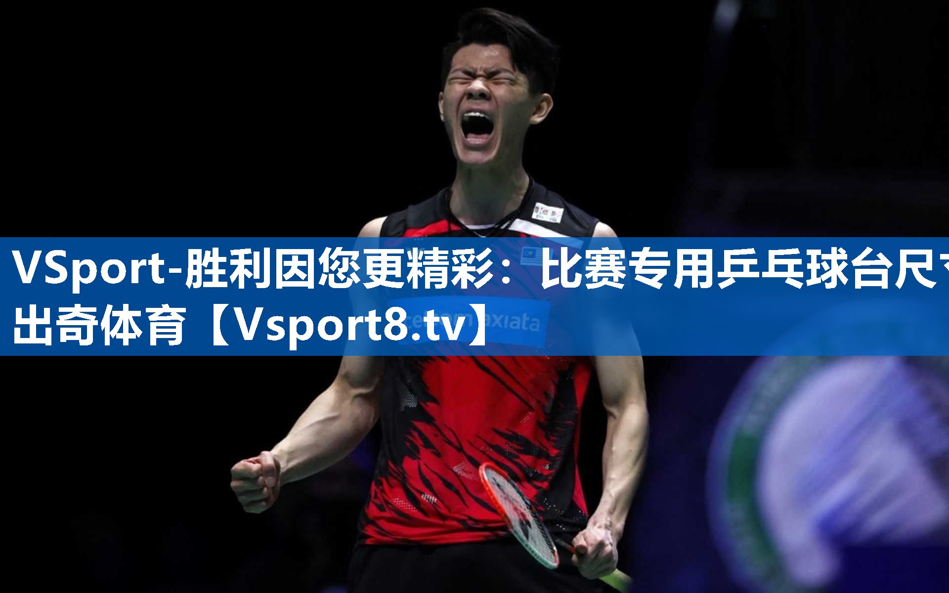 <strong>VSport-胜利因您更精彩：比赛专用乒乓球台尺寸出奇体育</strong>