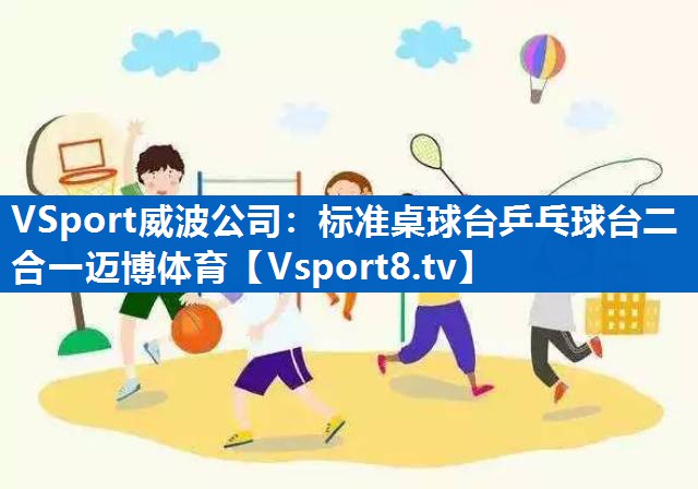 VSport威波公司：标准桌球台乒乓球台二合一迈博体育