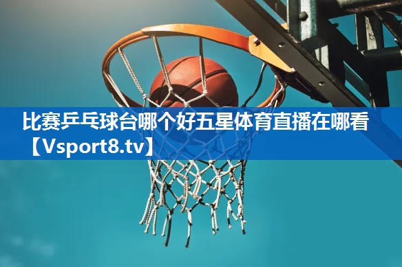比赛乒乓球台哪个好五星体育直播在哪看